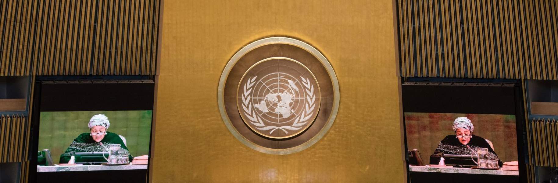 United Nations Chamber in session