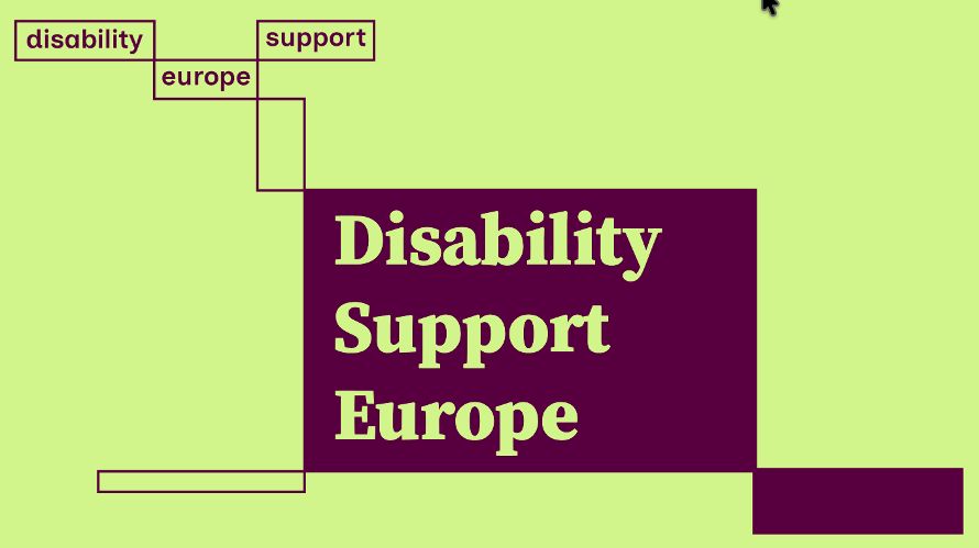 Disability Support Europe Brand book cover