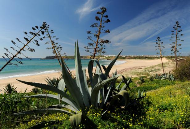 Algarve beach image