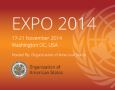 UN Global South-South Expo image  