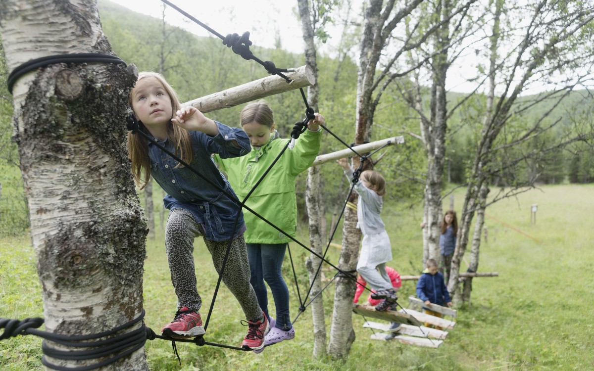 Image of children on a rope walk strung between birch trees 