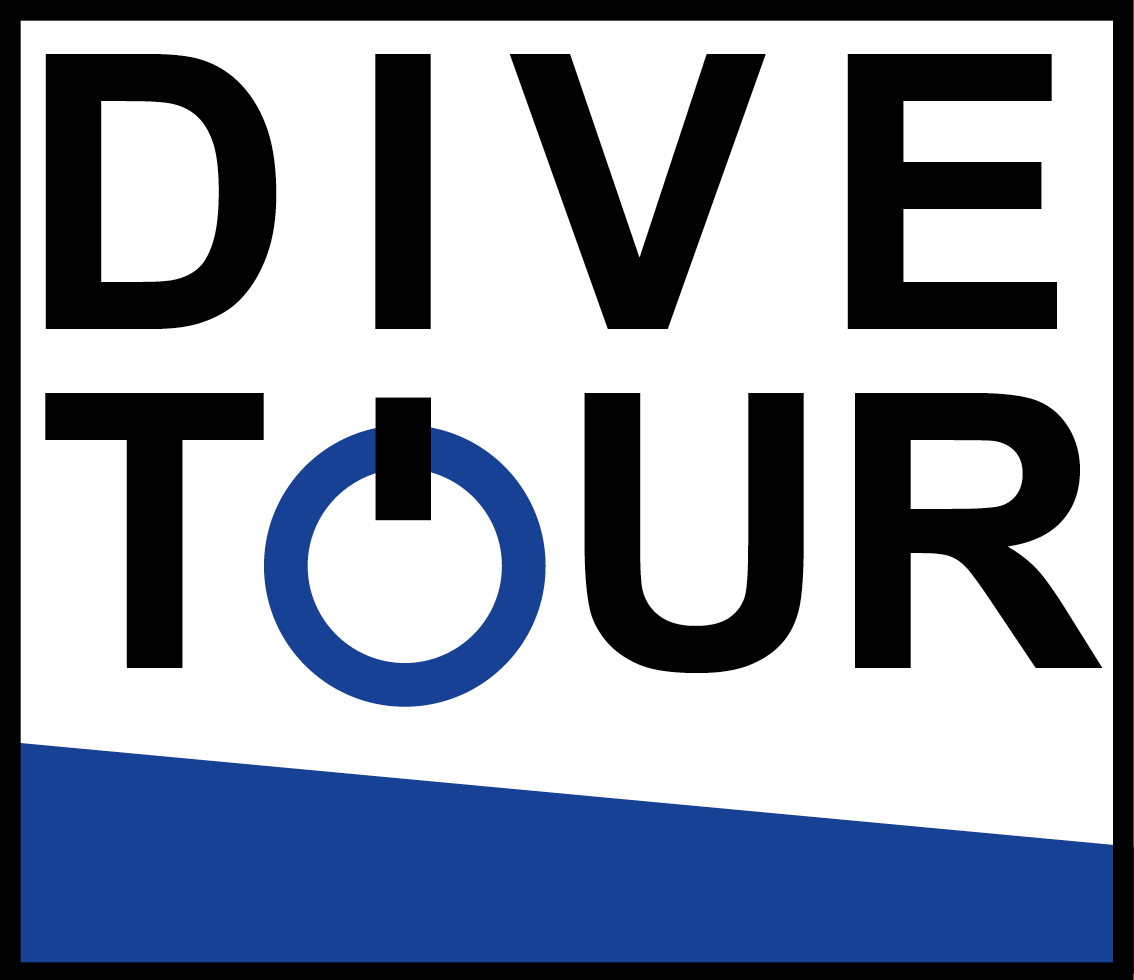 Logo of DIVETOUR project 